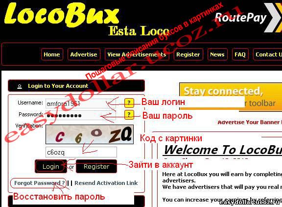 Пример входа в аккаунт Locobux